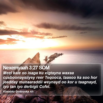 Nexemyaah 3:27 SOM Bible Verse Image