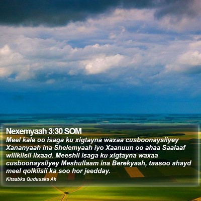 Nexemyaah 3:30 SOM Bible Verse Image