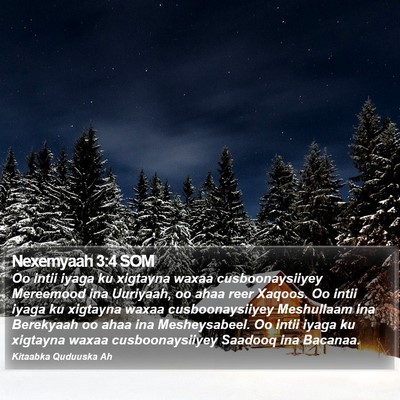 Nexemyaah 3:4 SOM Bible Verse Image