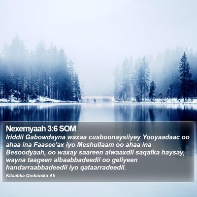 Nexemyaah 3:6 SOM Bible Verse Image