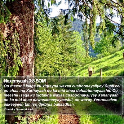 Nexemyaah 3:8 SOM Bible Verse Image