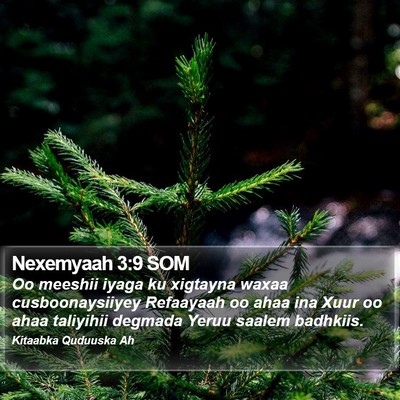 Nexemyaah 3:9 SOM Bible Verse Image