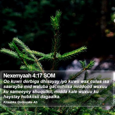 Nexemyaah 4:17 SOM Bible Verse Image