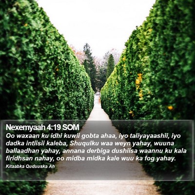 Nexemyaah 4:19 SOM Bible Verse Image