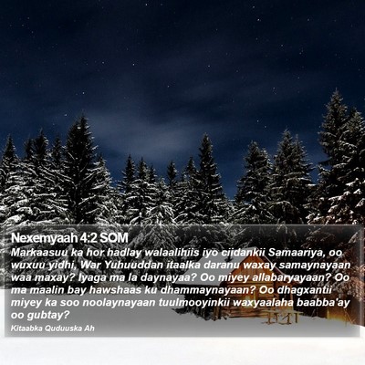 Nexemyaah 4:2 SOM Bible Verse Image