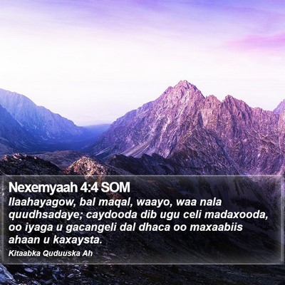 Nexemyaah 4:4 SOM Bible Verse Image