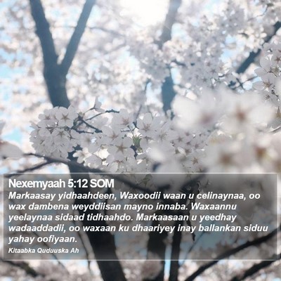 Nexemyaah 5:12 SOM Bible Verse Image
