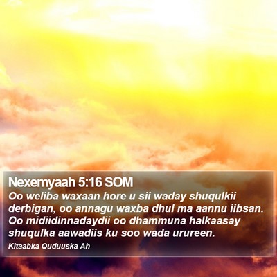 Nexemyaah 5:16 SOM Bible Verse Image
