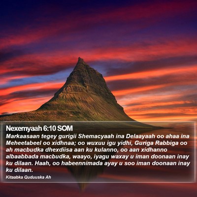 Nexemyaah 6:10 SOM Bible Verse Image