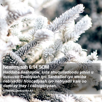 Nexemyaah 6:14 SOM Bible Verse Image