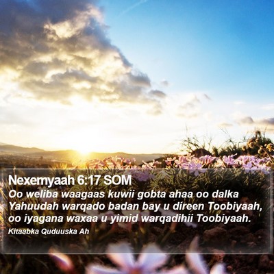 Nexemyaah 6:17 SOM Bible Verse Image