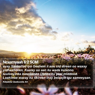 Nexemyaah 6:2 SOM Bible Verse Image