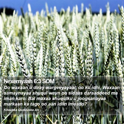 Nexemyaah 6:3 SOM Bible Verse Image