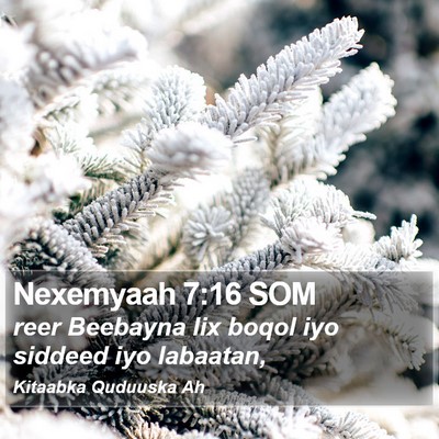 Nexemyaah 7:16 SOM Bible Verse Image