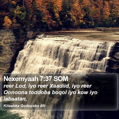 Nexemyaah 7:37 SOM Bible Verse Image