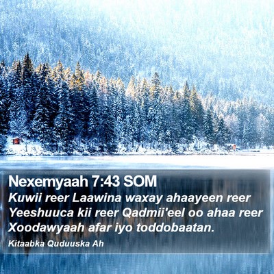 Nexemyaah 7:43 SOM Bible Verse Image