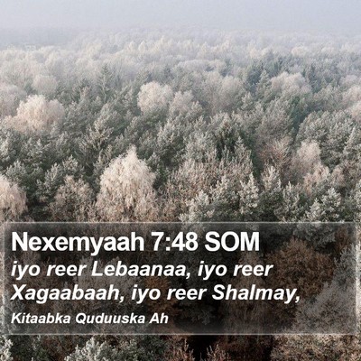 Nexemyaah 7:48 SOM Bible Verse Image