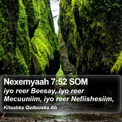 Nexemyaah 7:52 SOM Bible Verse Image