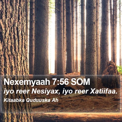 Nexemyaah 7:56 SOM Bible Verse Image