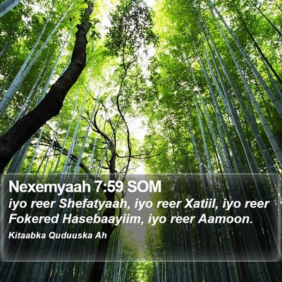 Nexemyaah 7:59 SOM Bible Verse Image