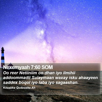 Nexemyaah 7:60 SOM Bible Verse Image