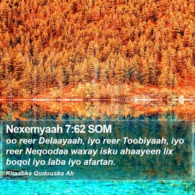Nexemyaah 7:62 SOM Bible Verse Image