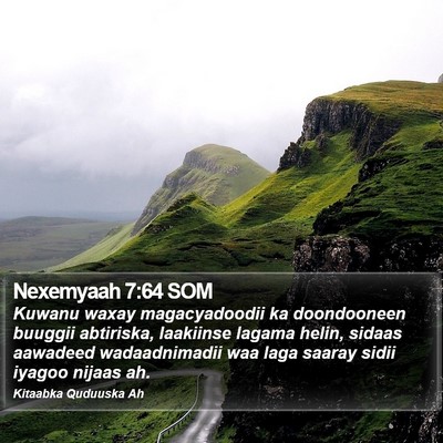 Nexemyaah 7:64 SOM Bible Verse Image