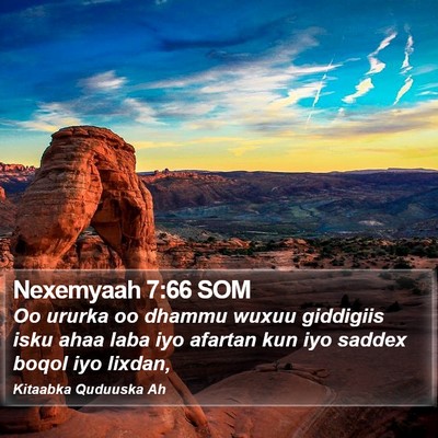 Nexemyaah 7:66 SOM Bible Verse Image