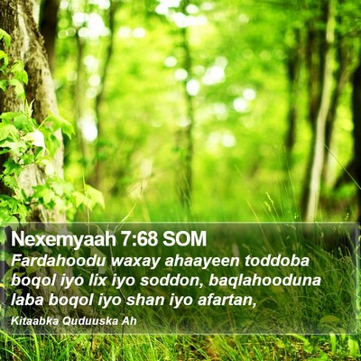 Nexemyaah 7:68 SOM Bible Verse Image