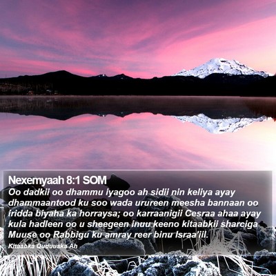 Nexemyaah 8:1 SOM Bible Verse Image
