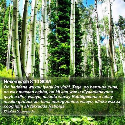 Nexemyaah 8:10 SOM Bible Verse Image
