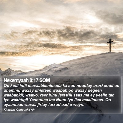 Nexemyaah 8:17 SOM Bible Verse Image