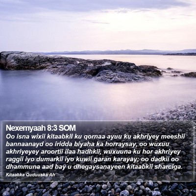 Nexemyaah 8:3 SOM Bible Verse Image