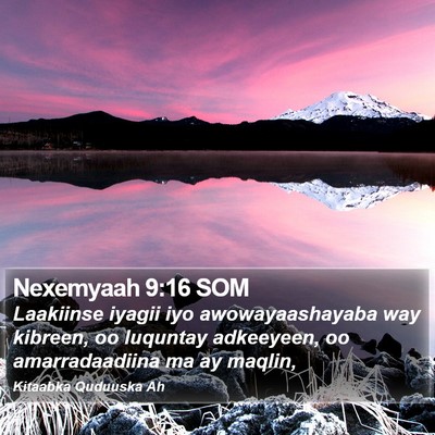 Nexemyaah 9:16 SOM Bible Verse Image