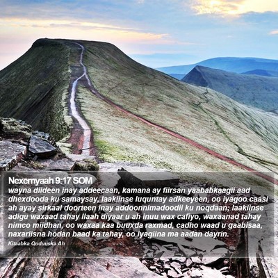 Nexemyaah 9:17 SOM Bible Verse Image