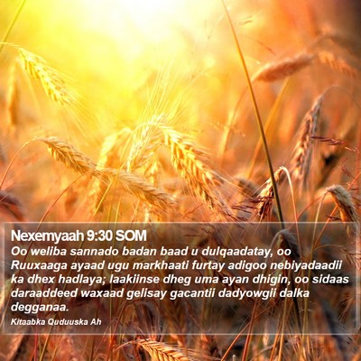 Nexemyaah 9:30 SOM Bible Verse Image