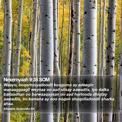 Nexemyaah 9:35 SOM Bible Verse Image