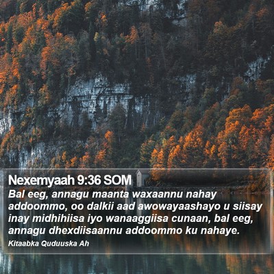 Nexemyaah 9:36 SOM Bible Verse Image