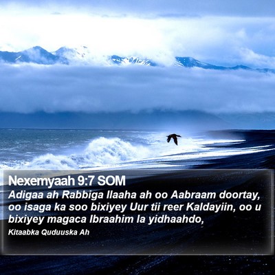 Nexemyaah 9:7 SOM Bible Verse Image