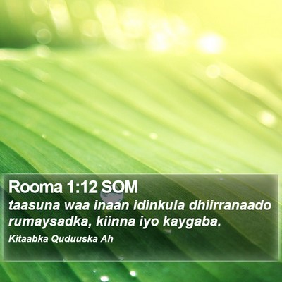 Rooma 1:12 SOM Bible Verse Image