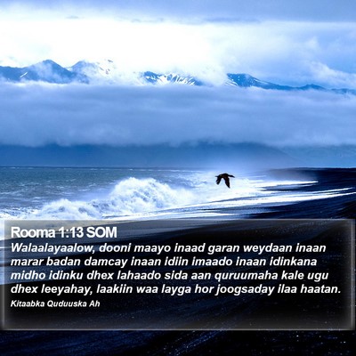 Rooma 1:13 SOM Bible Verse Image