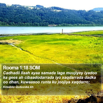 Rooma 1:18 SOM Bible Verse Image