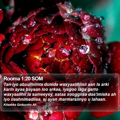 Rooma 1:20 SOM Bible Verse Image