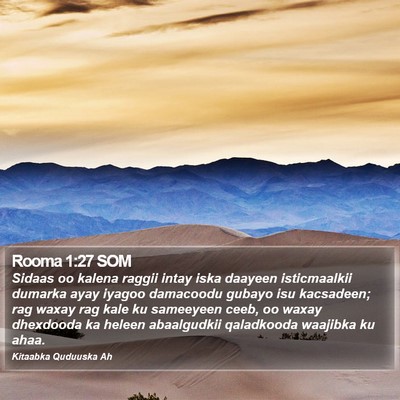 Rooma 1:27 SOM Bible Verse Image