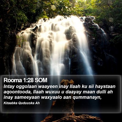 Rooma 1:28 SOM Bible Verse Image