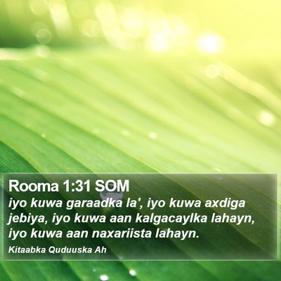 Rooma 1:31 SOM Bible Verse Image