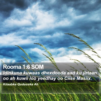 Rooma 1:6 SOM Bible Verse Image