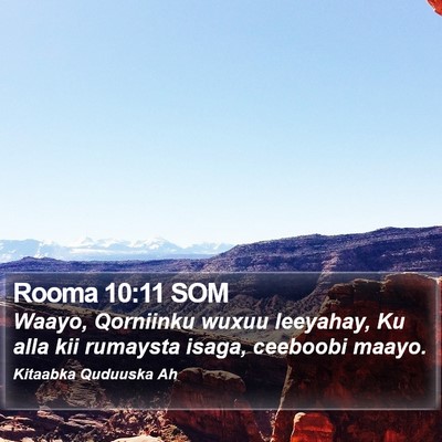 Rooma 10:11 SOM Bible Verse Image