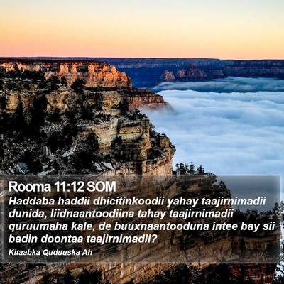 Rooma 11:12 SOM Bible Verse Image