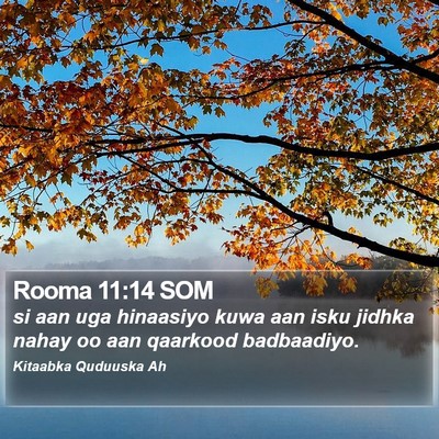 Rooma 11:14 SOM Bible Verse Image